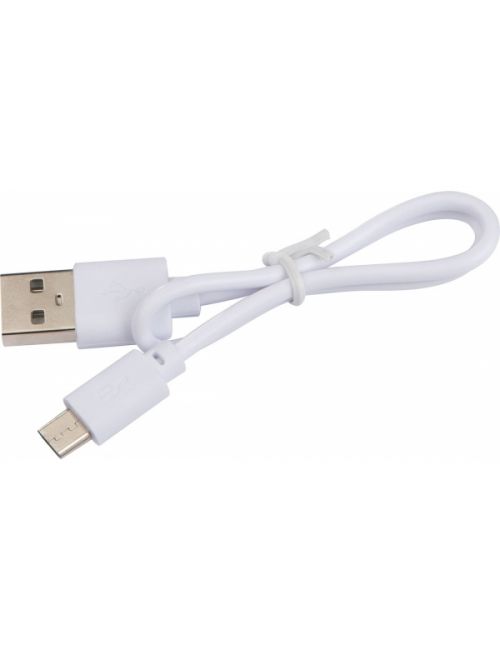 Ładowarka indukcyjna Crawley