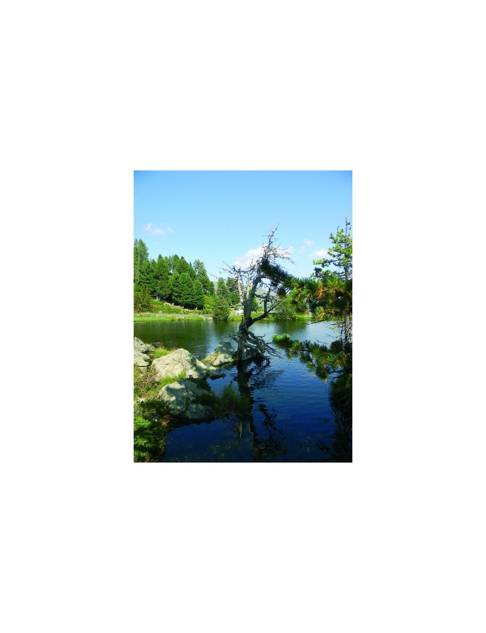 Scyzoryk HUNTER Schwarzwolf