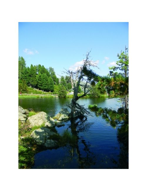 Scyzoryk HUNTER Schwarzwolf