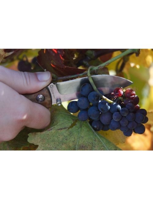 Nóż kieszonkowy JUNGLE Schwarzwolf