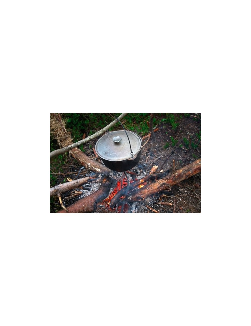 Składany nóż RAY Schwarzwolf