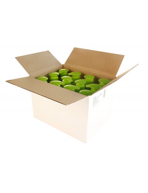 Żel antybakteryjny 250ml Nutka