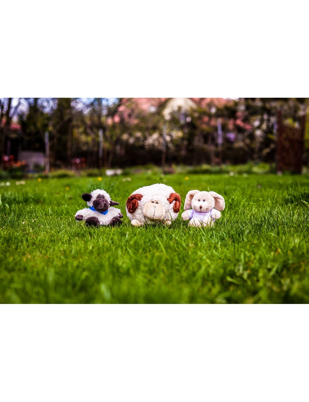 Pluszowa owca | Linda