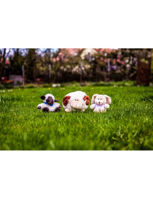 Pluszowa owca | Linda