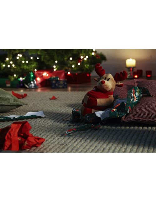 Pluszak z kocem polarowym