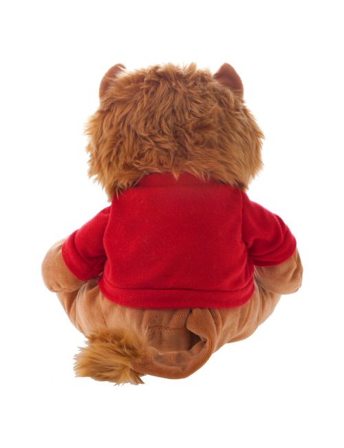 Pluszowy lew | Richard C