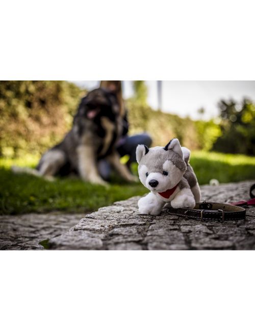 Pluszowy pies husky | Trooper