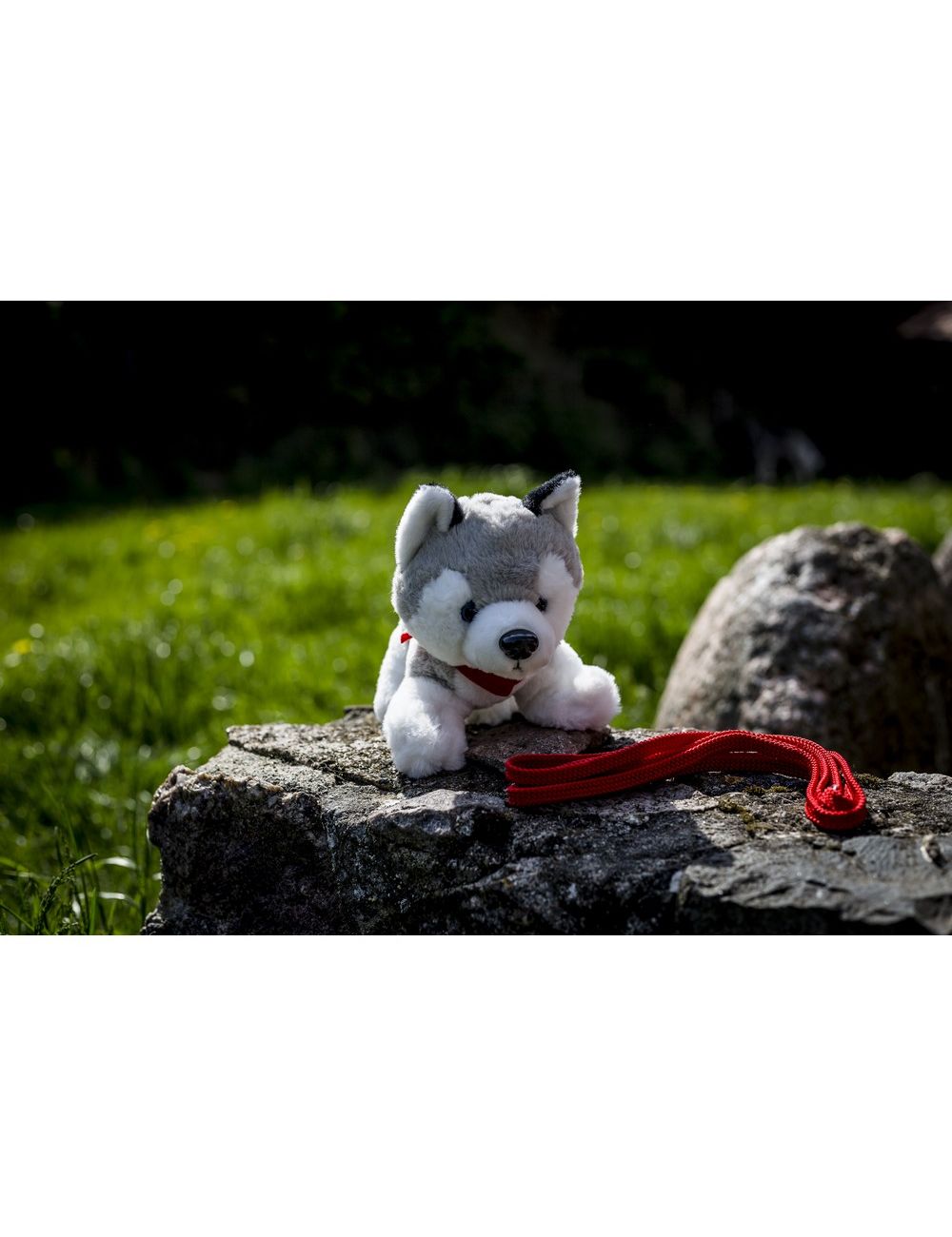 Pluszowy pies husky | Trooper