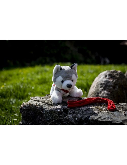 Pluszowy pies husky | Trooper