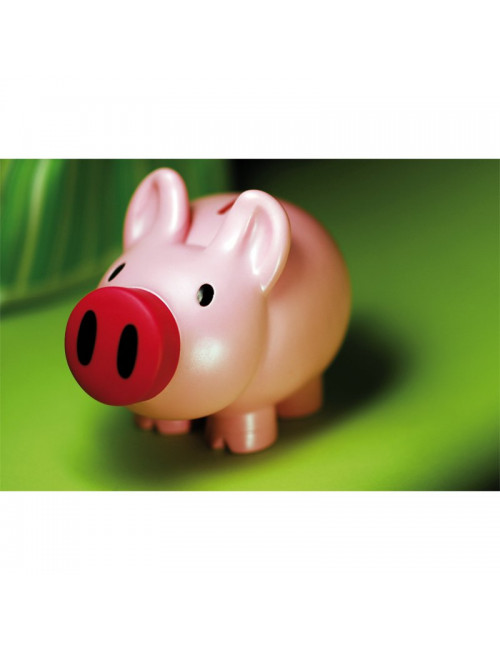 Skarbonka Piggy, różowy 