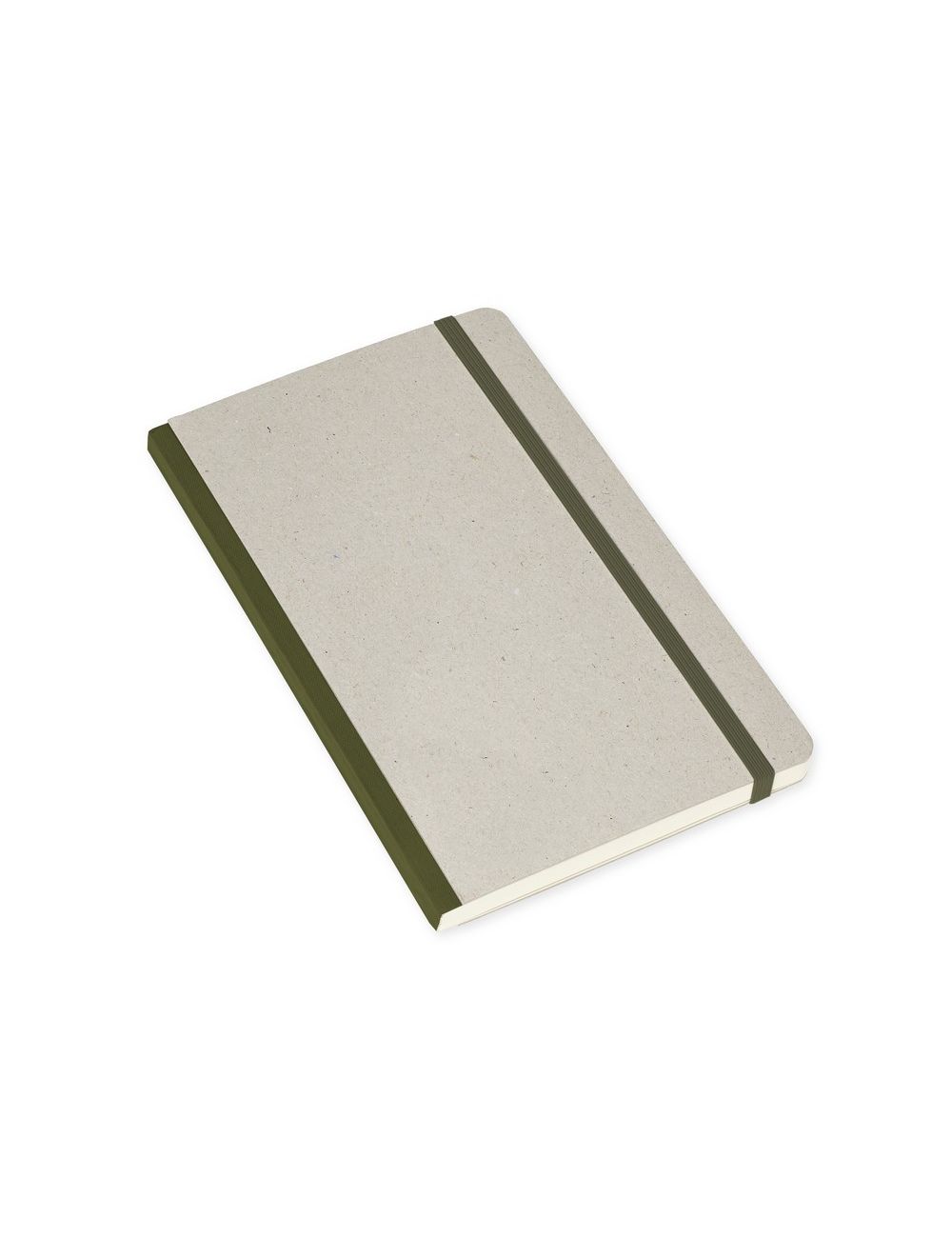 MOLESKINE Notatnik ok. A5 Time Notebook