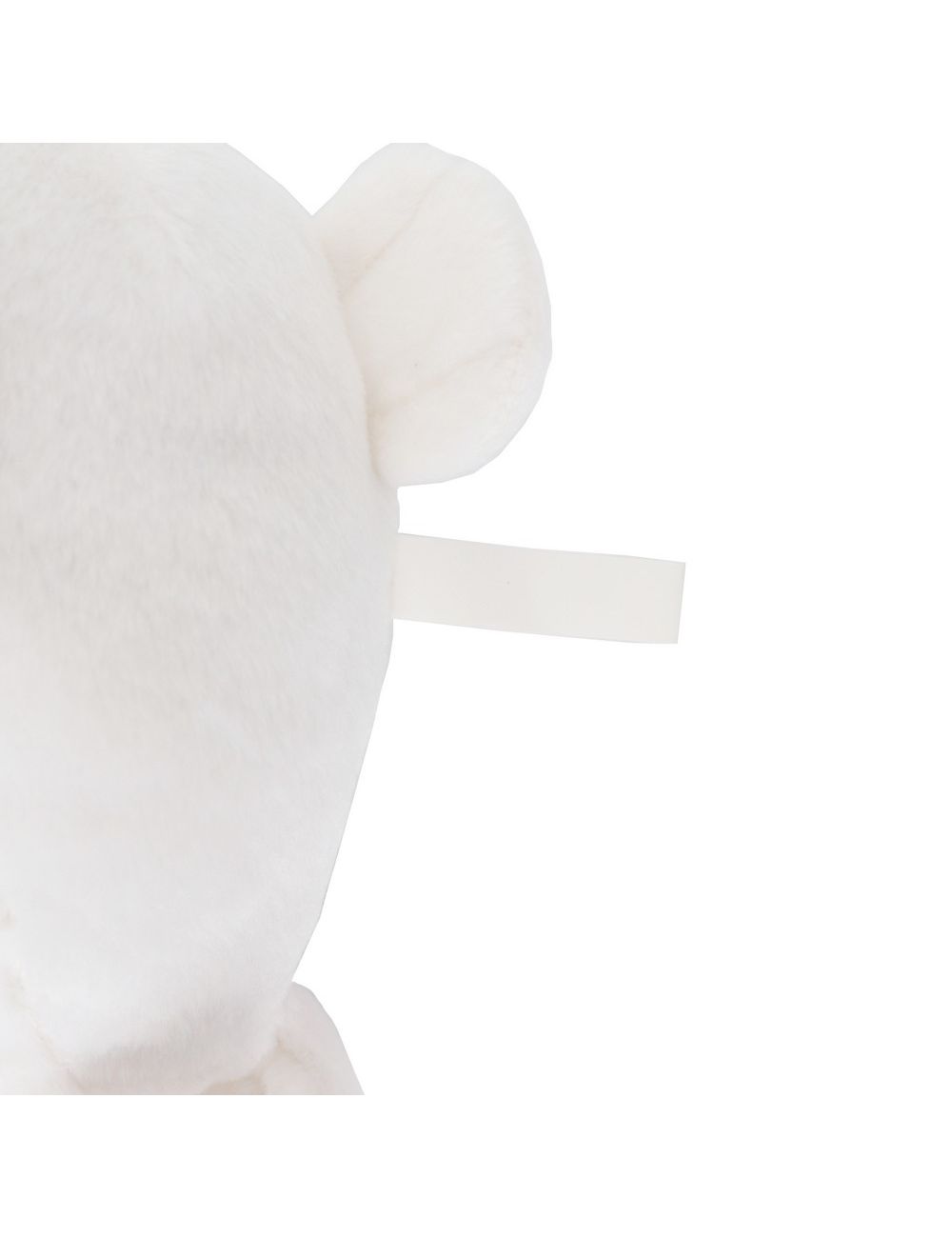 Pluszowa foka | Andrea