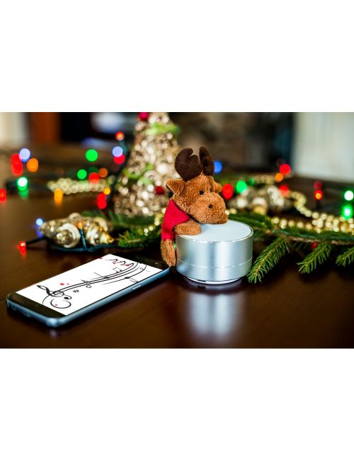 Głośnik bezprzewodowy, radio | Silas