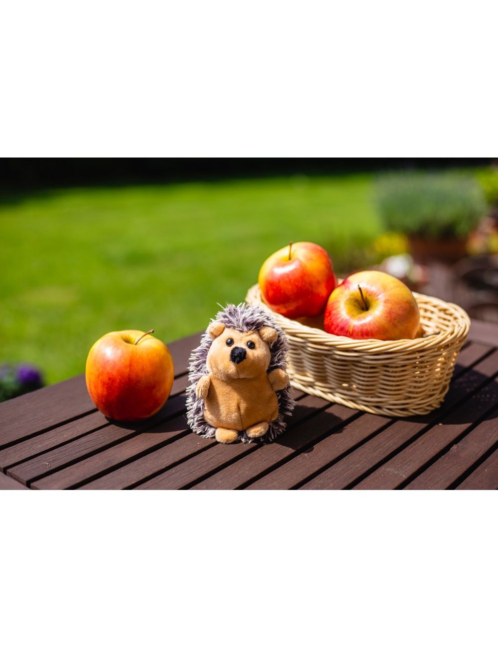 Pluszowy jeż | Spiky