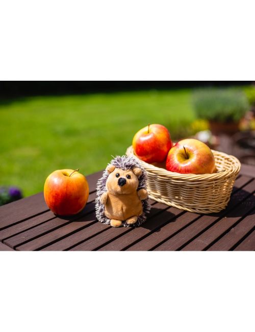 Pluszowy jeż | Spiky