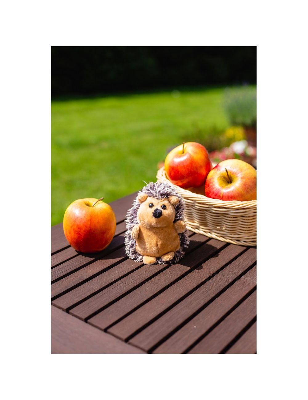 Pluszowy jeż | Spiky