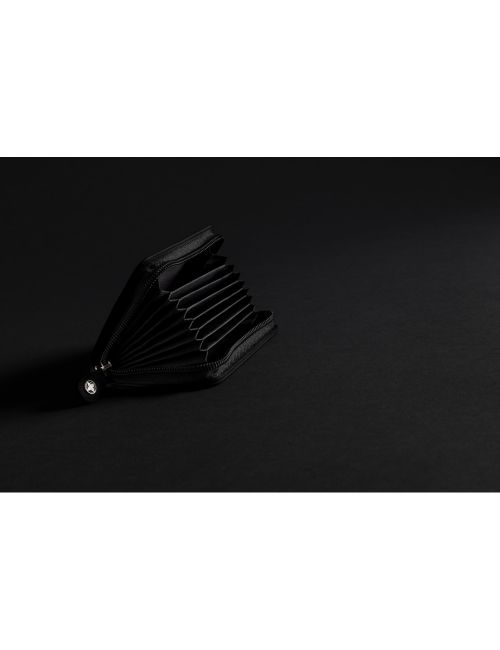 Etui na karty kredytowe Swiss Peak, ochrona RFID