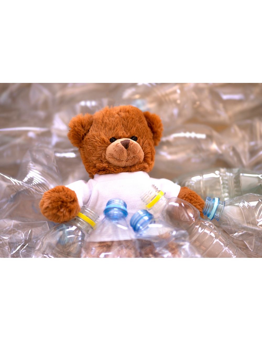 Pluszowy miś RPET | Denis R