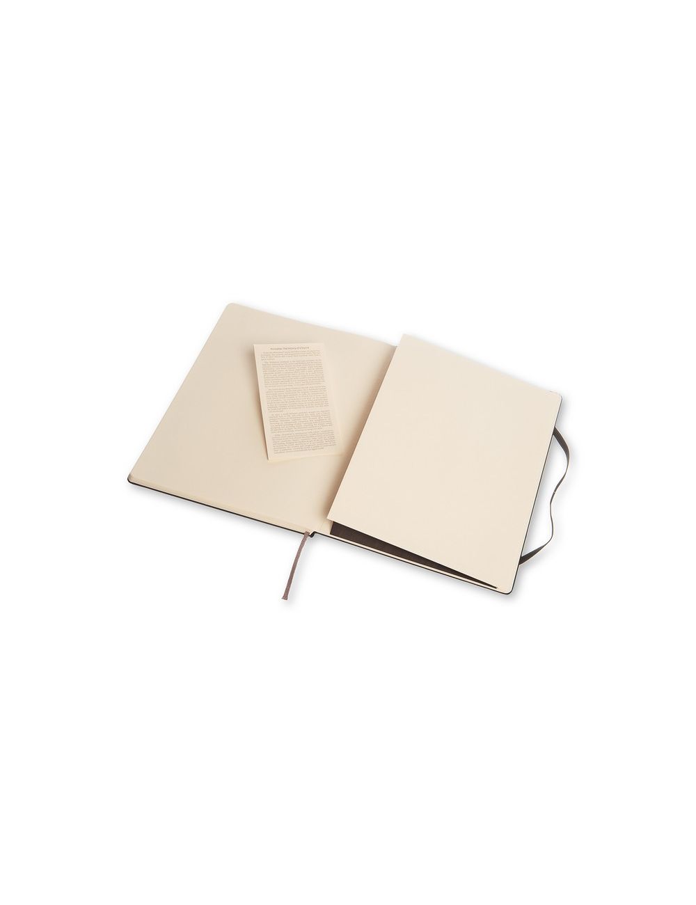MOLESKINE Notatnik ok. B5