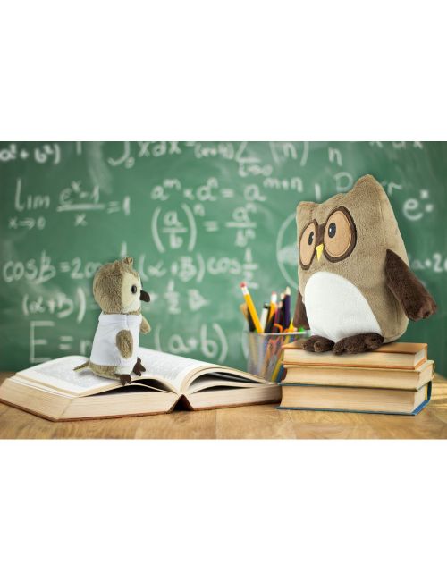 Pluszowa sowa, brelok | Cleverly