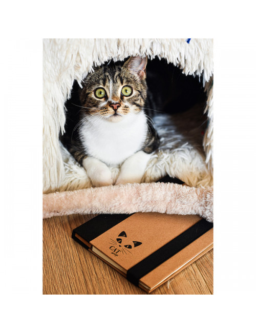 Notes memo 100x180/70k linia Kraft Paper, czarny/beżowy 