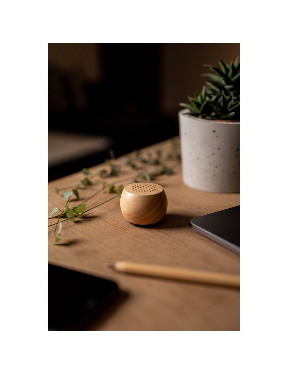 Drewniany głośnik bezprzewodowy 3W | Mae