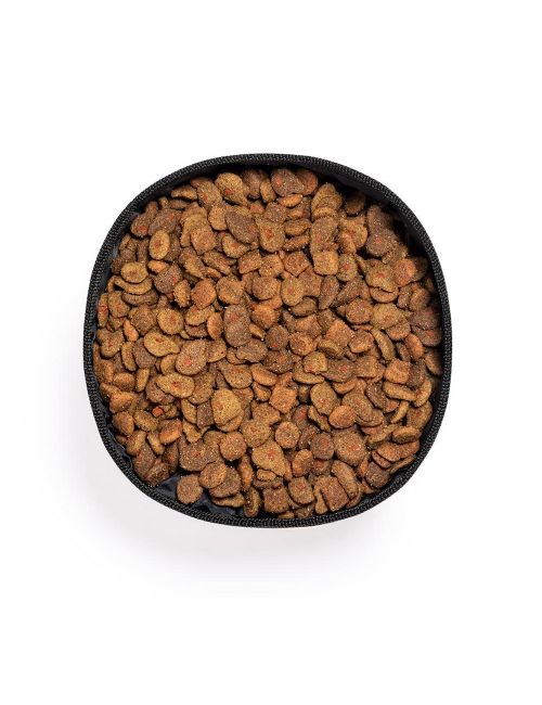 Składana miska dla psa RPET