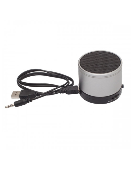 Głośnik Partybeat z radiem FM, srebrny 