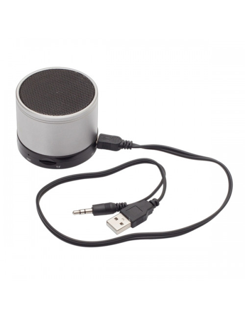 Głośnik Partybeat z radiem FM, srebrny 