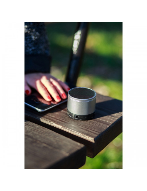 Głośnik Partybeat z radiem FM, srebrny 