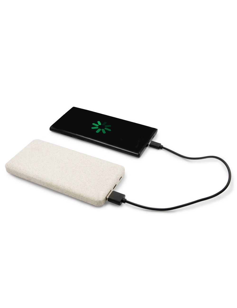 Power bank 8000 mAh ze słomy pszenicznej | Jenkins