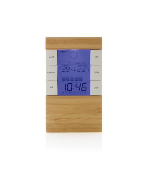 Bambusowa stacja pogodowa Utah, RABS