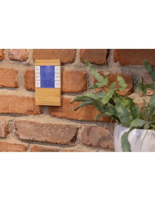 Bambusowa stacja pogodowa Utah, RABS