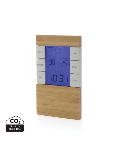 Bambusowa stacja pogodowa Utah, RABS