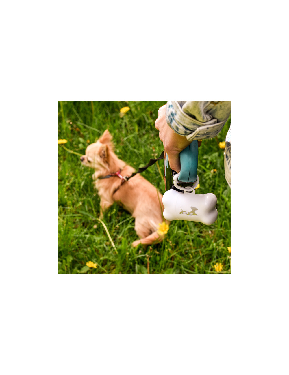 Pojemniczek z woreczkami Neat Dog, biały 