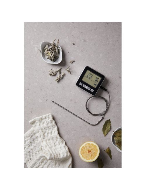 Termometr VINGA Hays