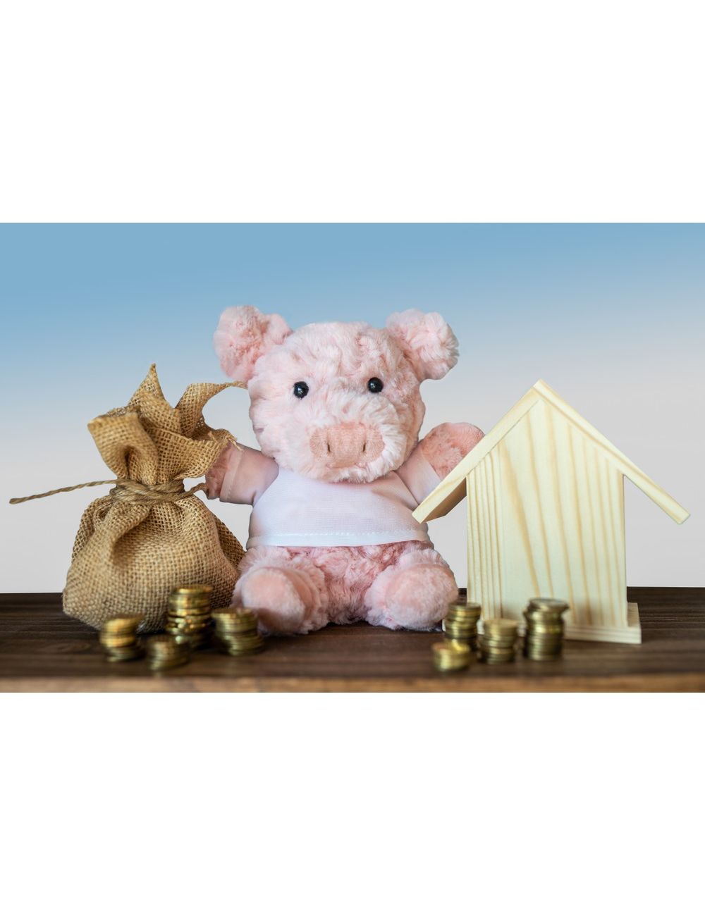 Pluszowa świnka | Tailyssia