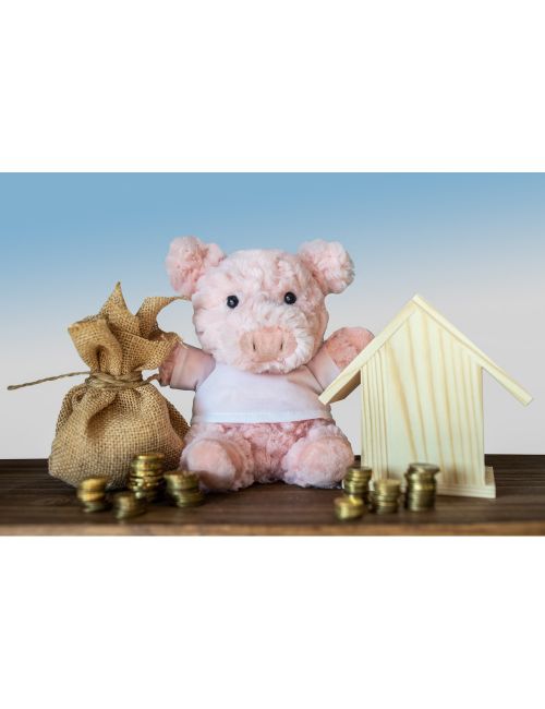 Pluszowa świnka | Tailyssia