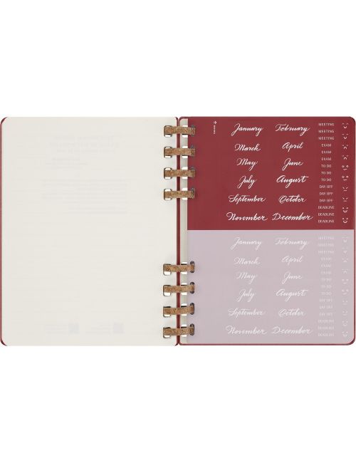 Spiralny kalendarz MOLESKINE Undated Life