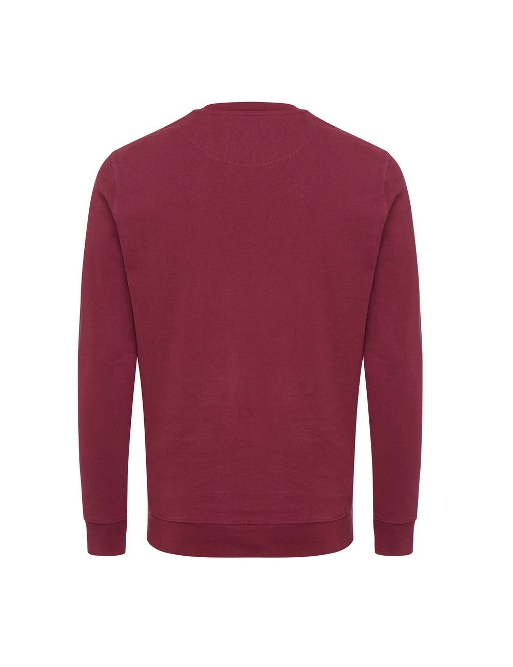 Bluza z bawełny z recyklingu Iqoniq Zion