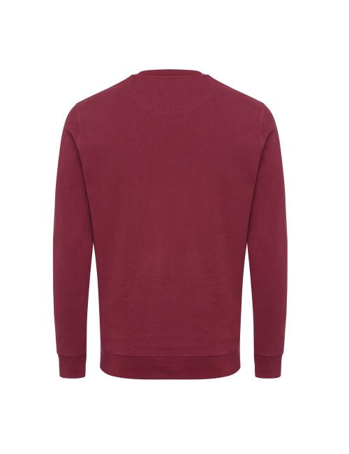 Bluza z bawełny z recyklingu Iqoniq Zion