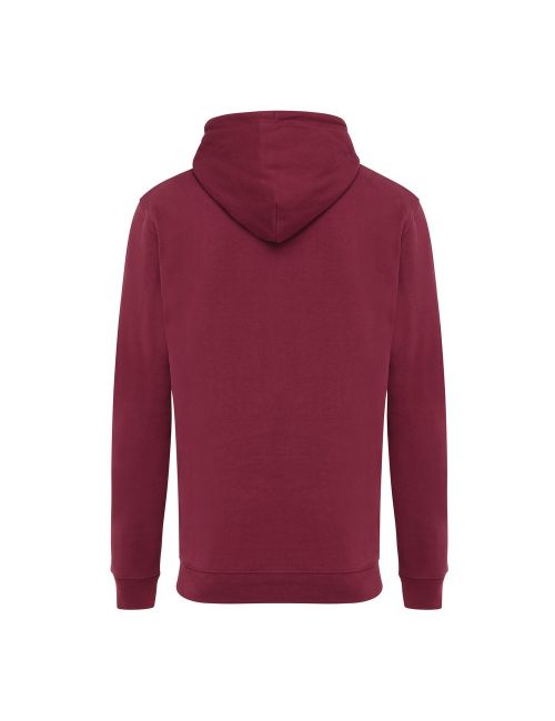 Bluza z kapturem z bawełny z recyklingu Iqoniq Jasper