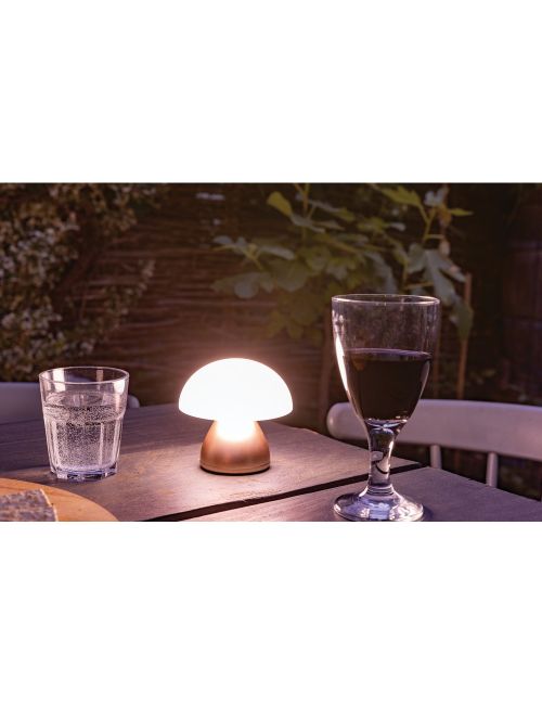 Lampka na biurko Luming, plastik z recyklingu