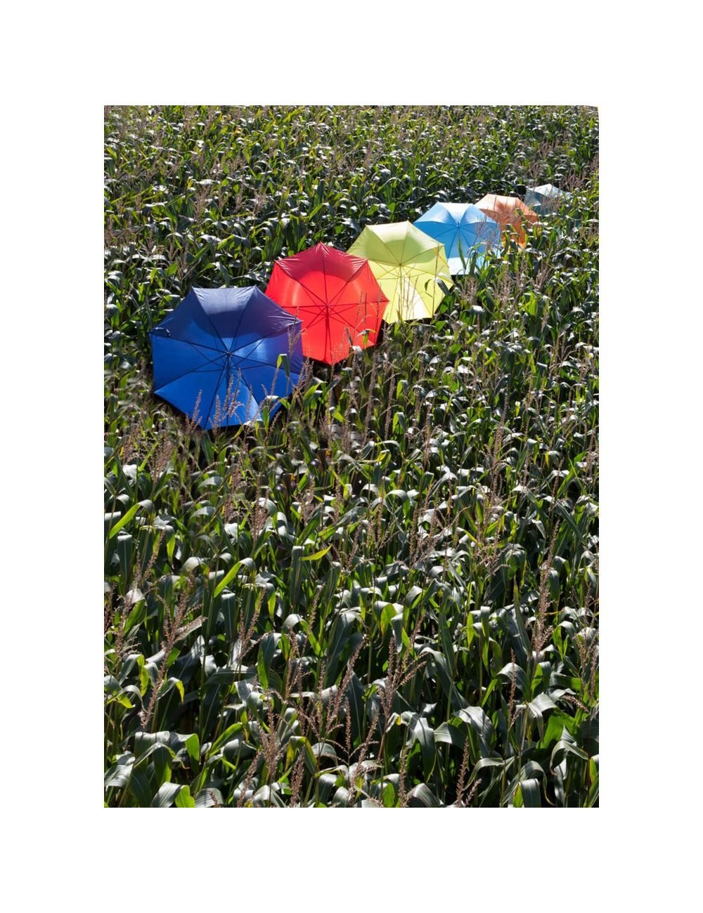 Parasol automatyczny