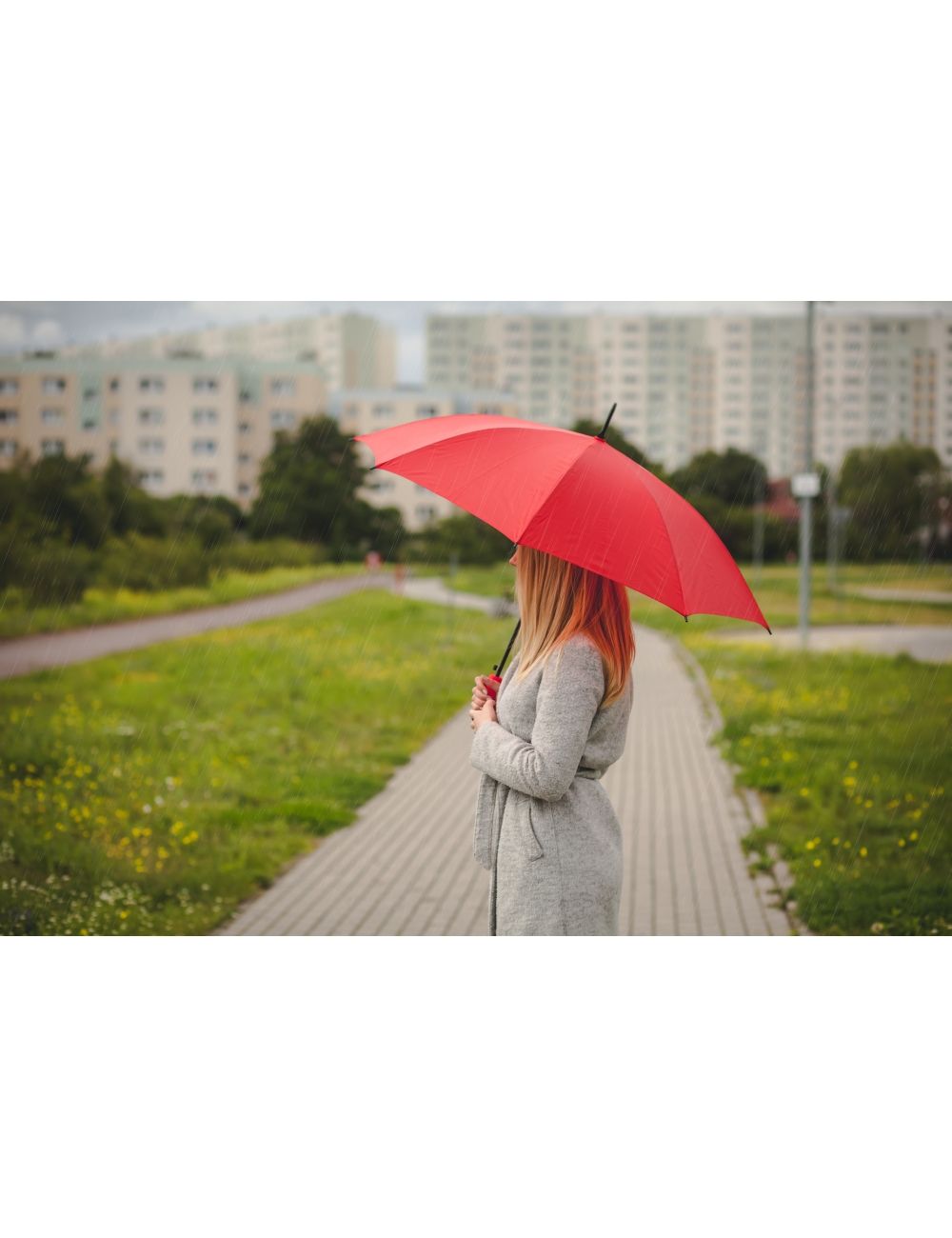 Parasol automatyczny | Dwight