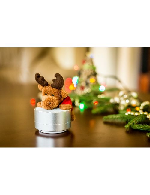 Głośnik bezprzewodowy, radio | Silas