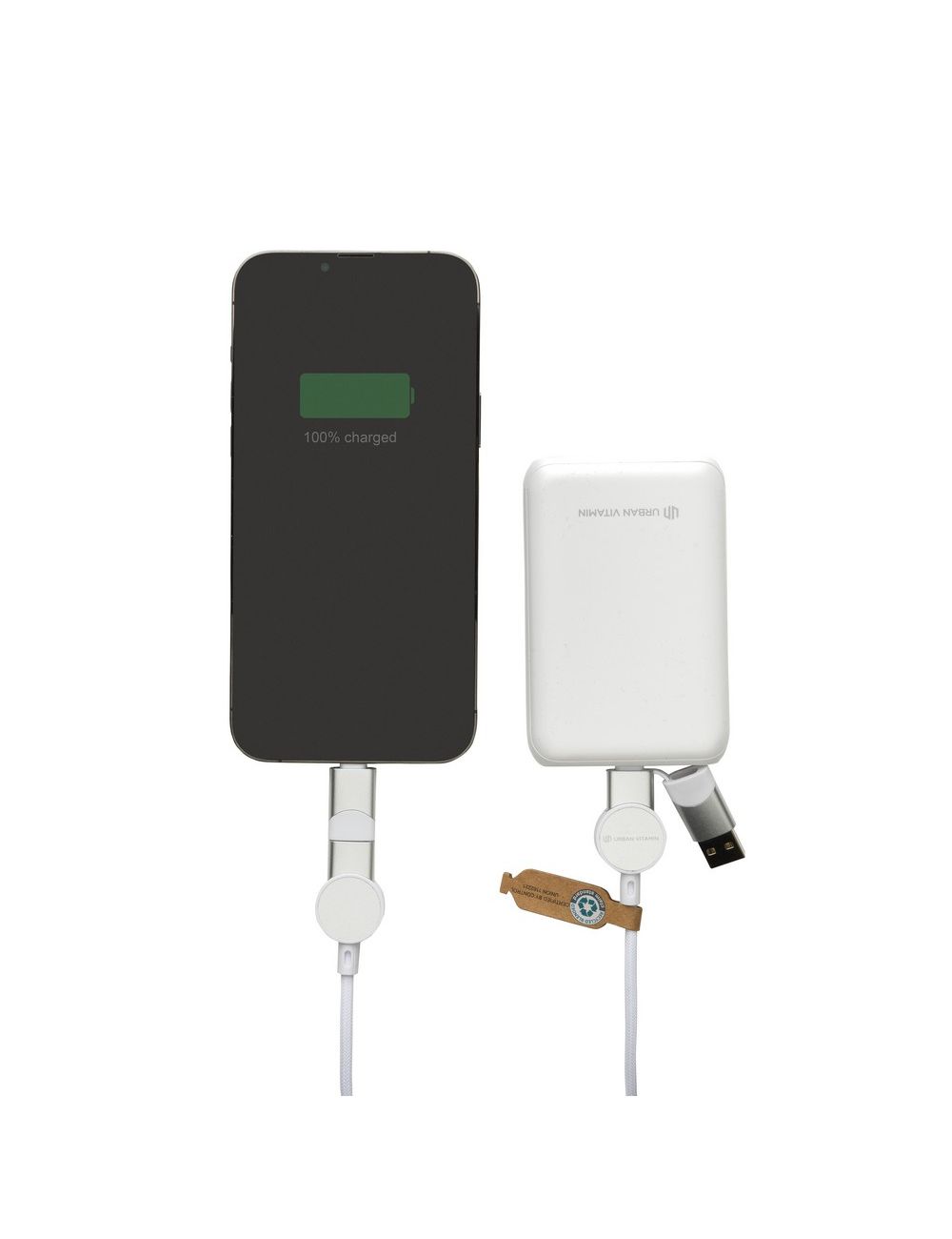 Kabel do ładowania 6 w 1 45W Urban Vitamin Oakland