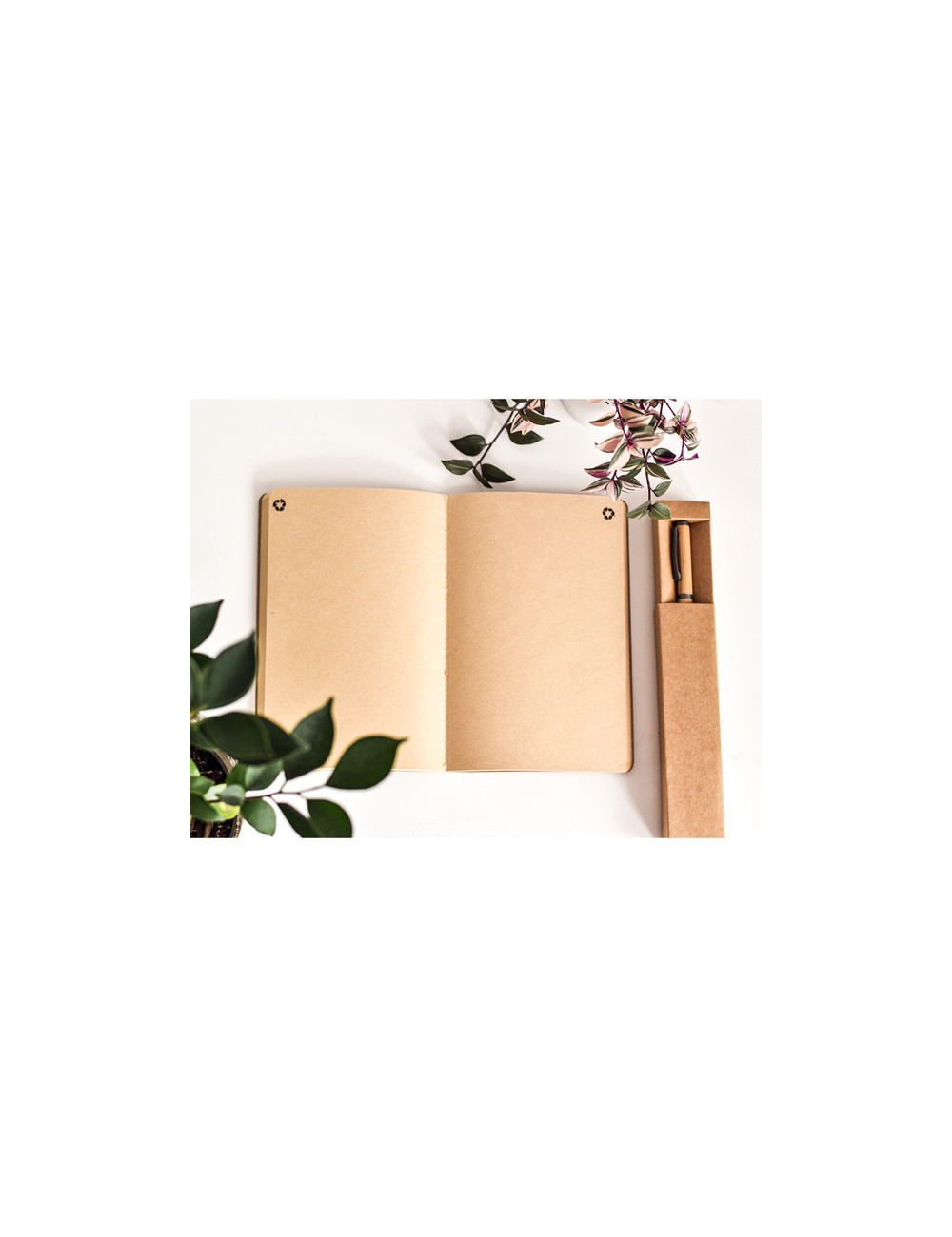 Bambusowy długopis w pudełku Machino, beżowy