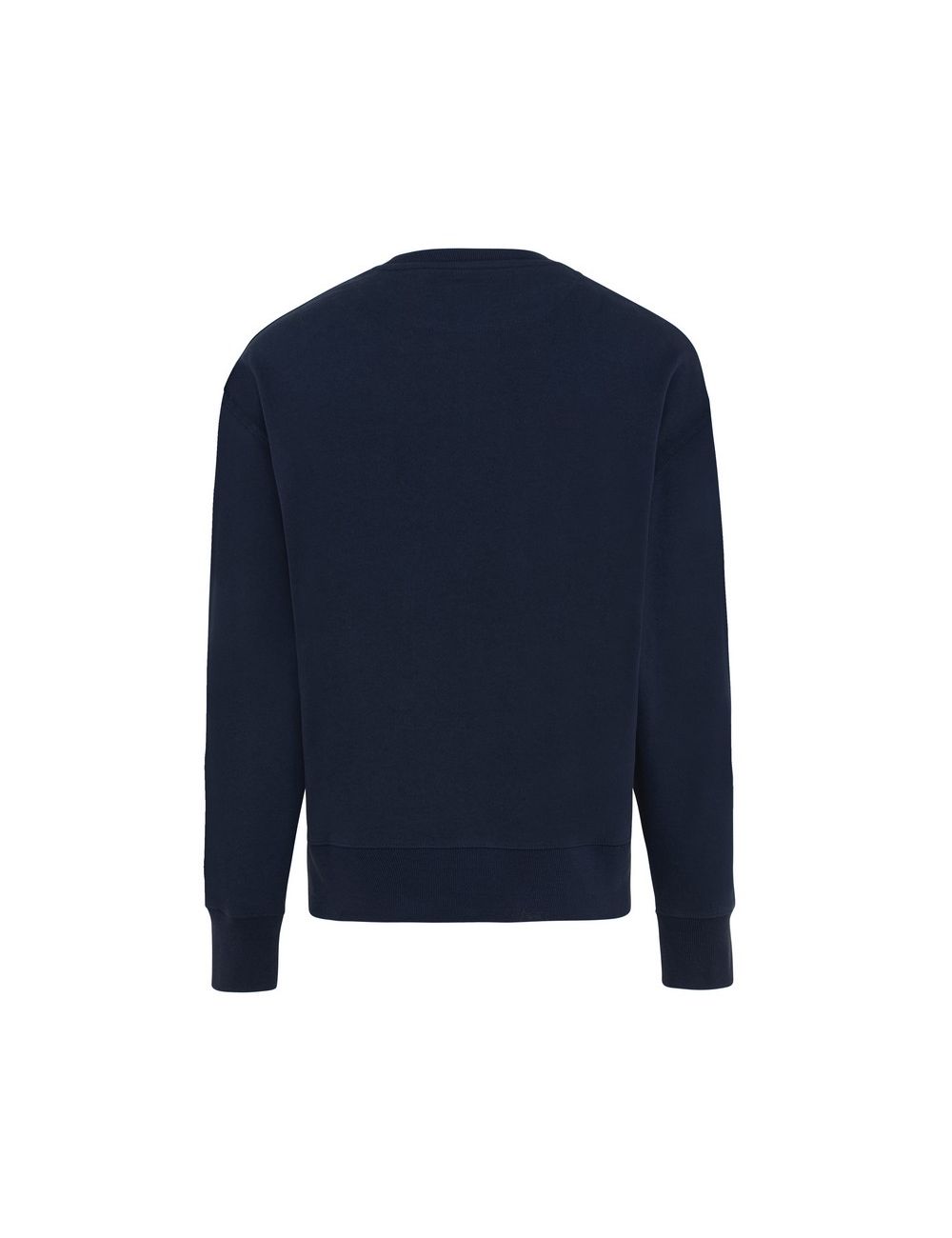 Luźna bluza z bawełny z recyklingu Iqoniq Kruger