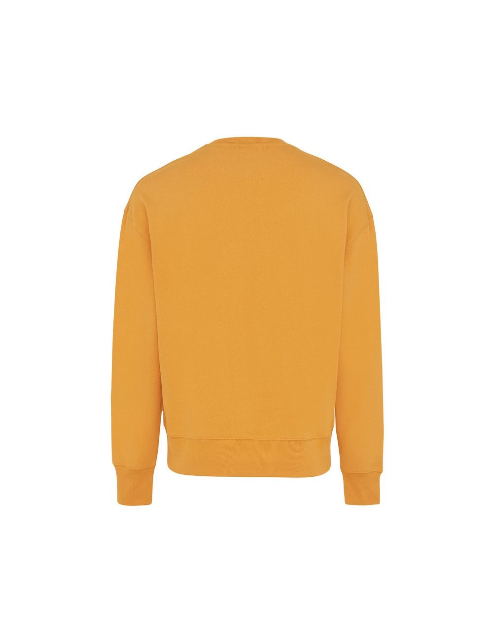 Luźna bluza z bawełny z recyklingu Iqoniq Kruger